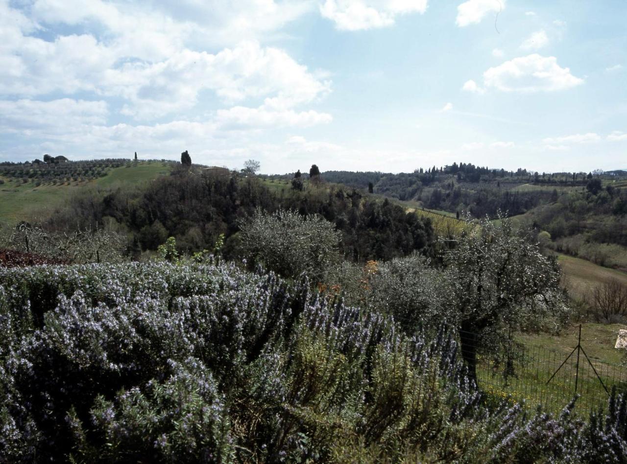 Podere Oliveta Поджибонси Екстериор снимка